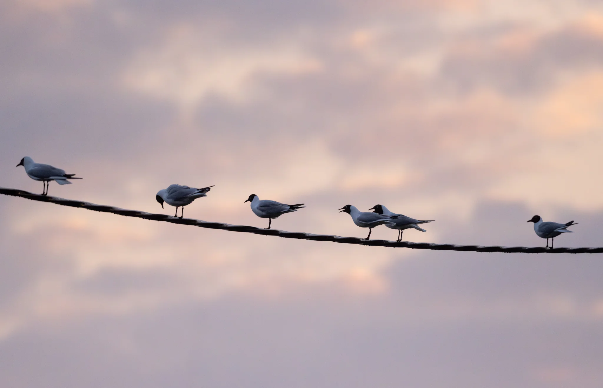 Words, Belonging, and Invisible Boundaries